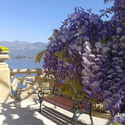 Tremezzina - Villa del Balbianello