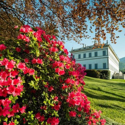 Bellagio- Villa Melzi Garden