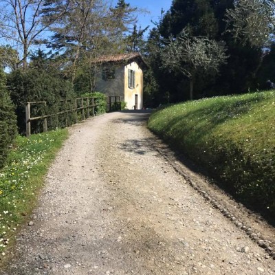 Bellagio - Villa Serbelloni's Park