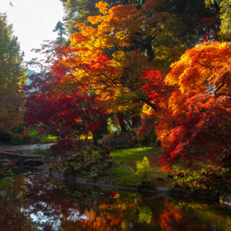 The gardens of Lake Como in winter: charm and mystery