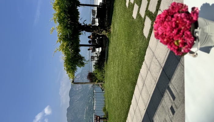 Altavista Restaurant & Terrace