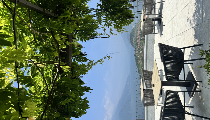Altavista Restaurant & Terrace