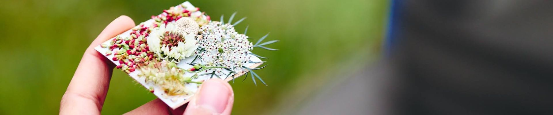 Sensory experience in nature