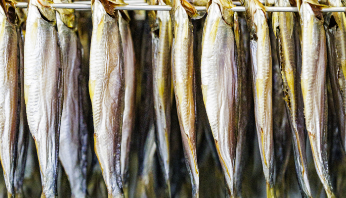 Ittiturismo Mella